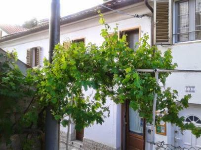 B&B Al Ferdinandeo Trieste Ngoại thất bức ảnh